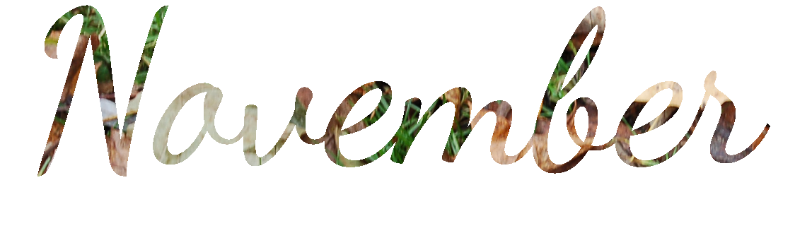 November HD Free Download PNG HQ Transparent PNG Image