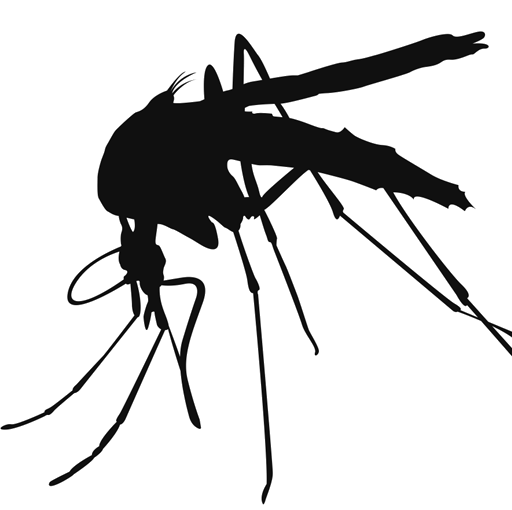 Mosquito High-Quality Png Transparent PNG Image