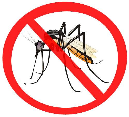 Mosquito Png Transparent PNG Image