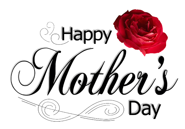 Flower Mothers Petal Fathers Mother Day Transparent PNG Image