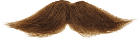 Moustache Free Download Png Transparent PNG Image