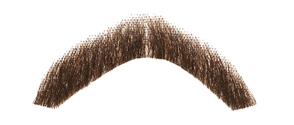 Moustache Png Hd Transparent PNG Image