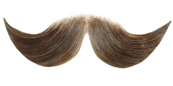 Fake Moustache HD Free HQ Image Transparent PNG Image