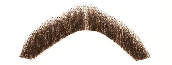 Fake Moustache PNG Image High Quality Transparent PNG Image