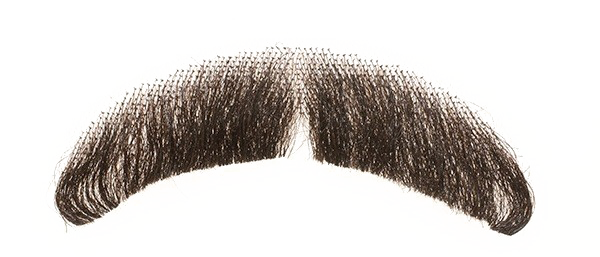 Fake Moustache Free PNG HQ Transparent PNG Image