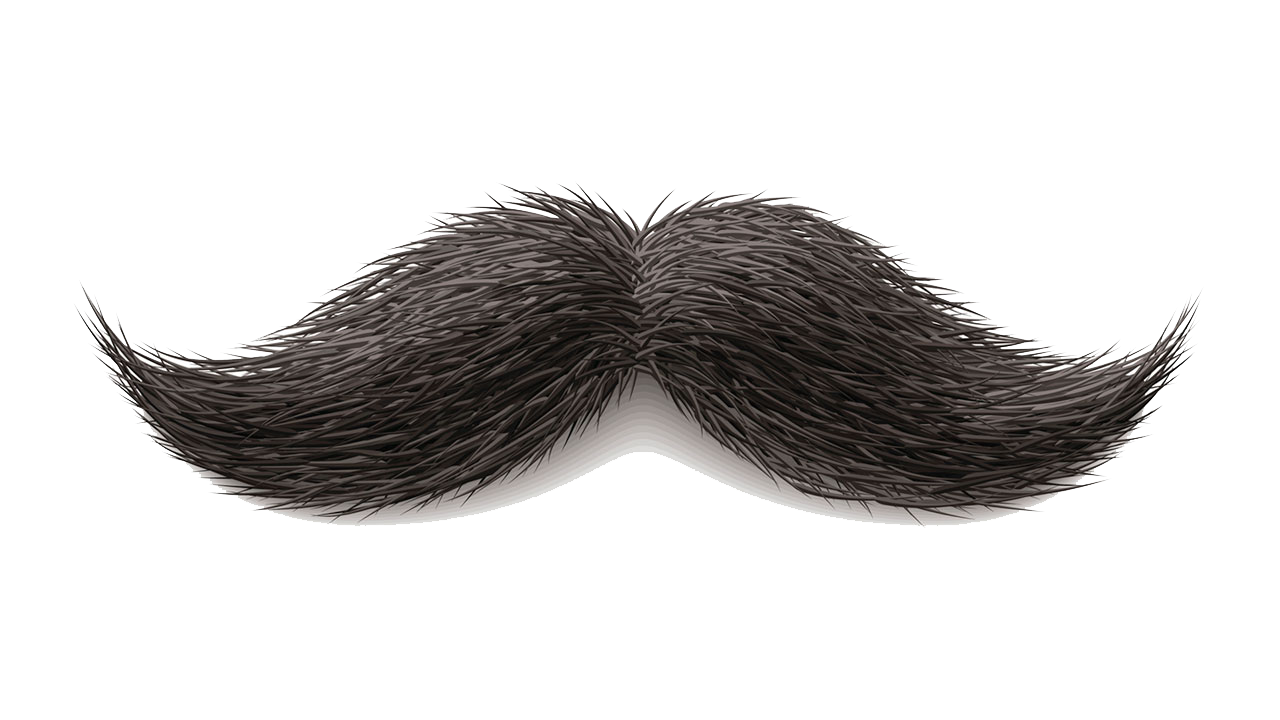 Moustache Png Image Transparent PNG Image