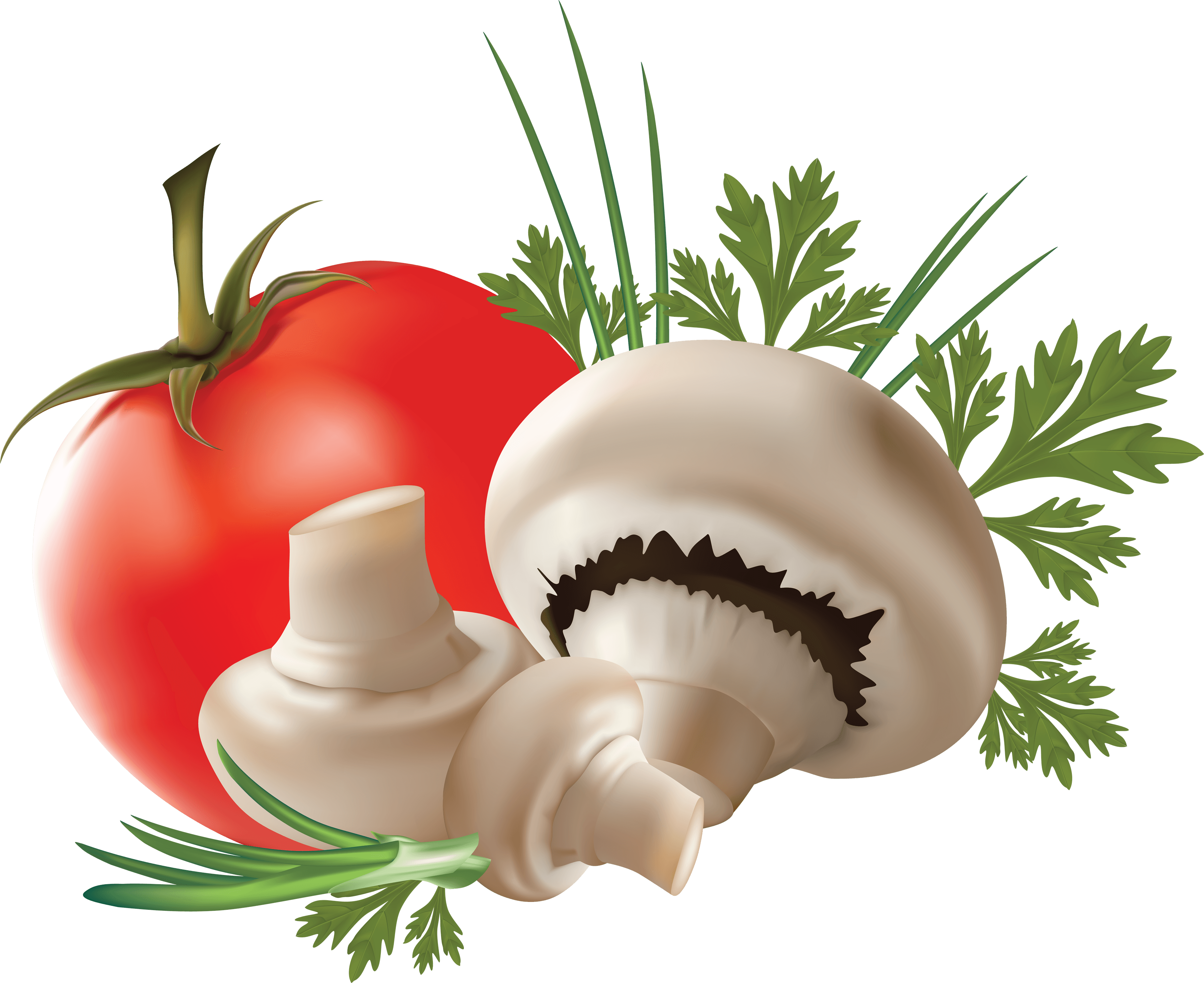 Mushroom Png Image Transparent PNG Image