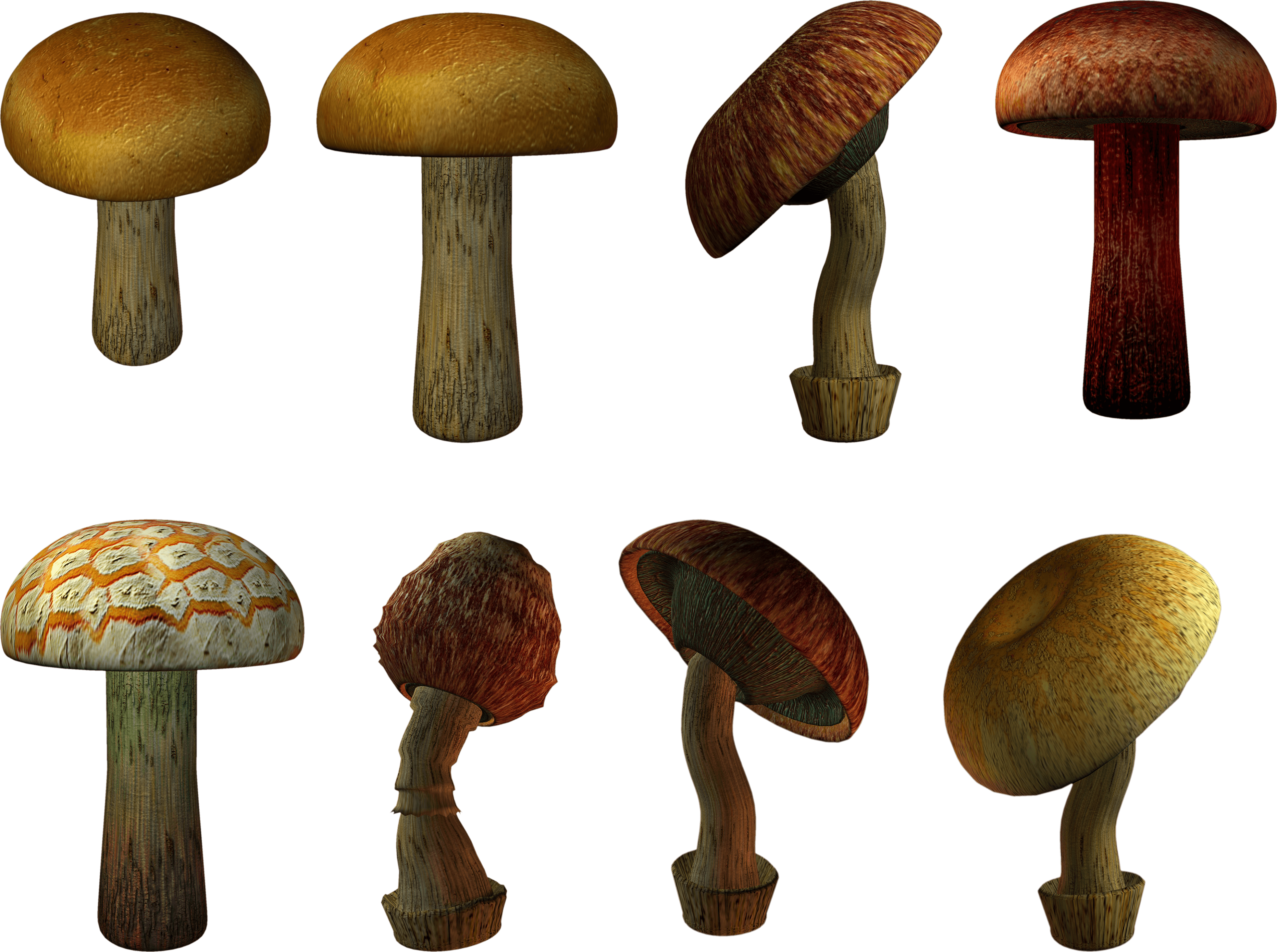 Mushroom Png Image Transparent PNG Image