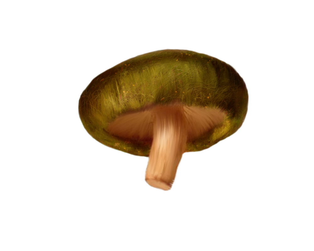 Mushroom Clipart Transparent PNG Image