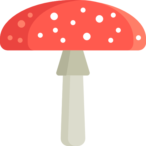 Amanita Muscaria Photos Transparent PNG Image