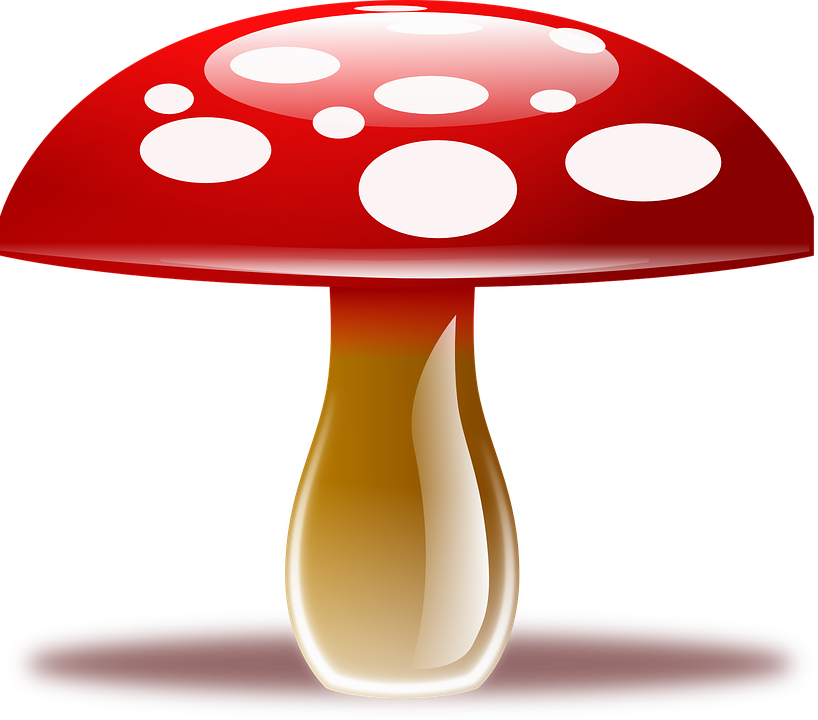 Amanita Muscaria Clipart Transparent PNG Image