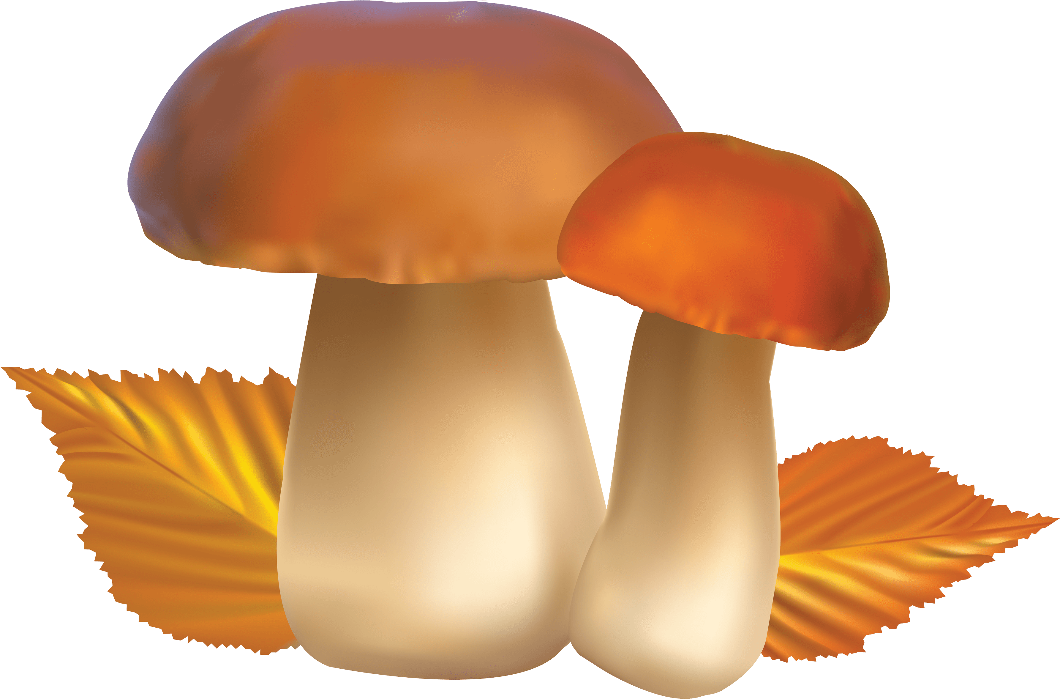 Mushroom Png Image Transparent PNG Image