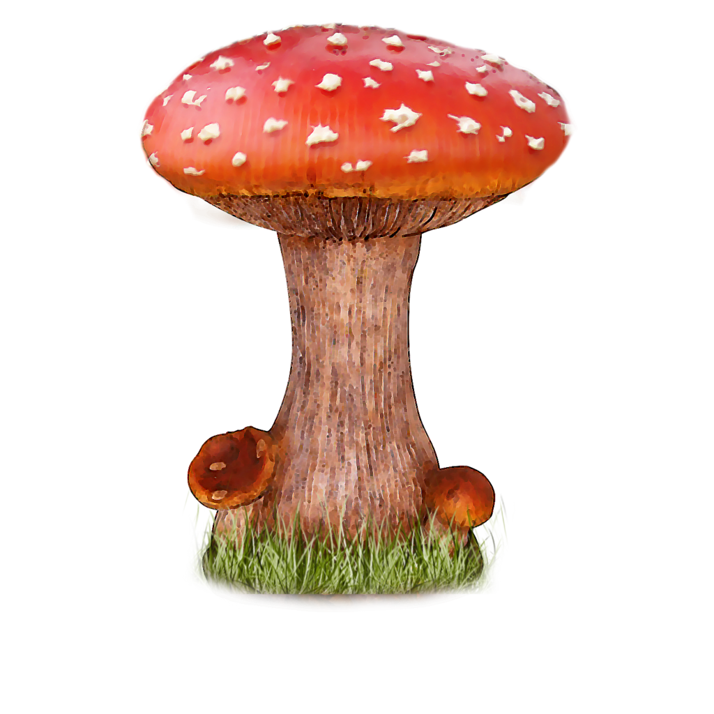 Mushroom Png File Transparent PNG Image