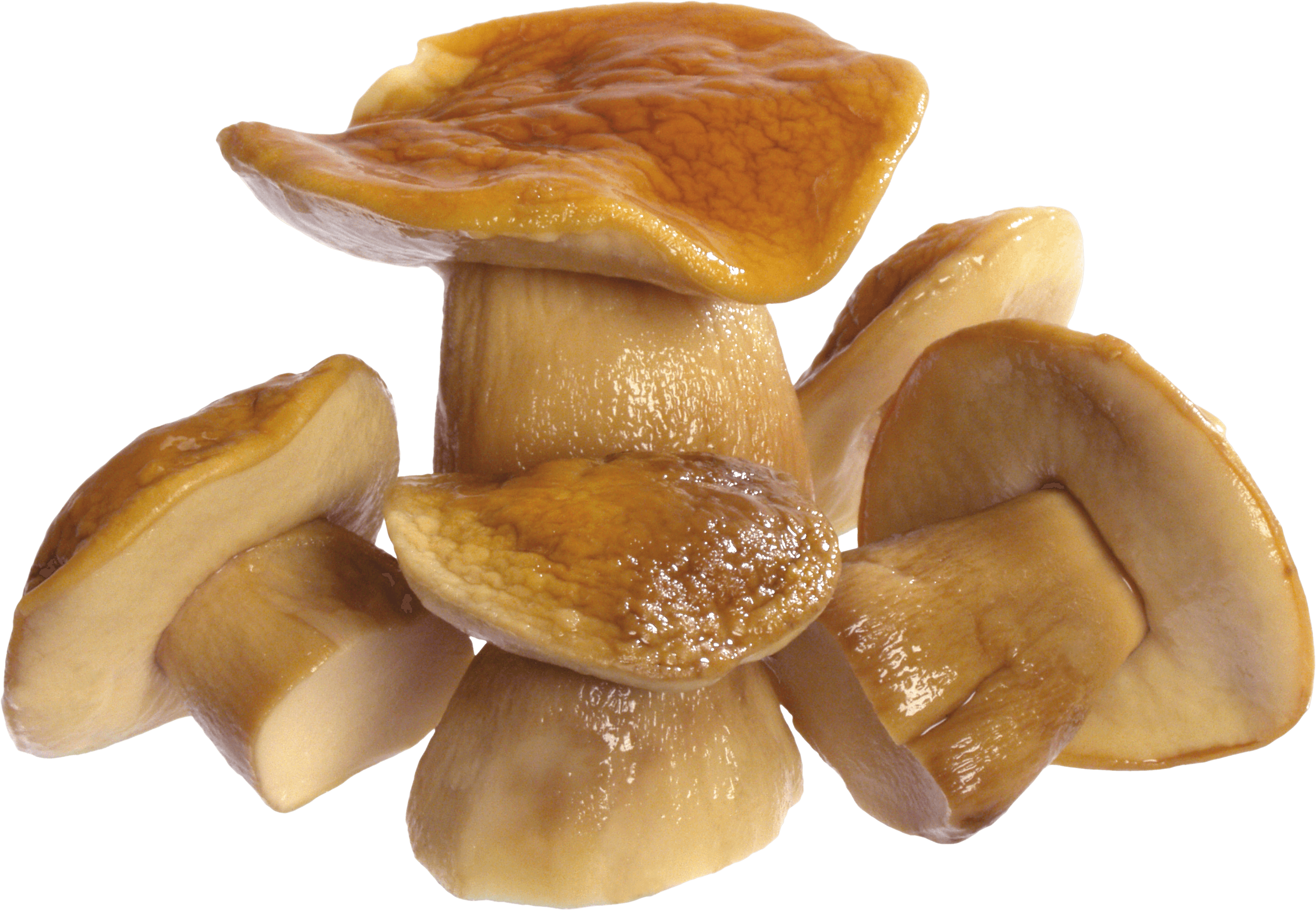 Mushroom Png Image Transparent PNG Image