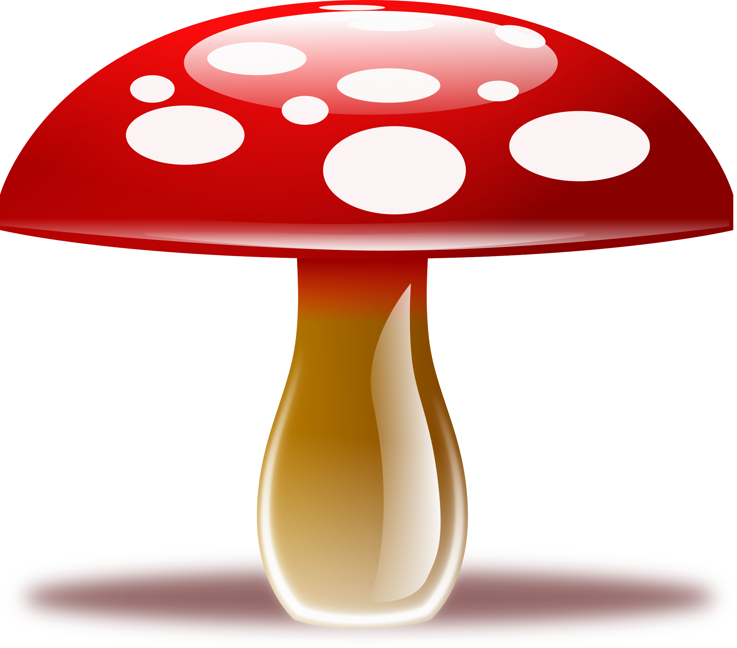 Mushroom Picture Transparent PNG Image