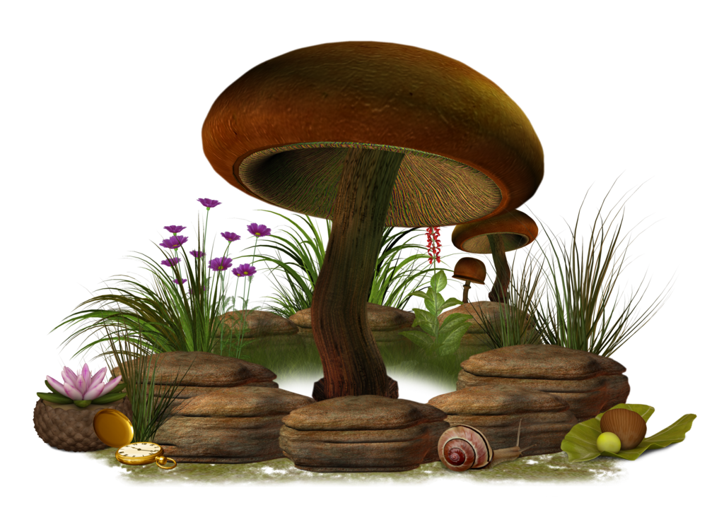 Mushroom Png Clipart Transparent PNG Image