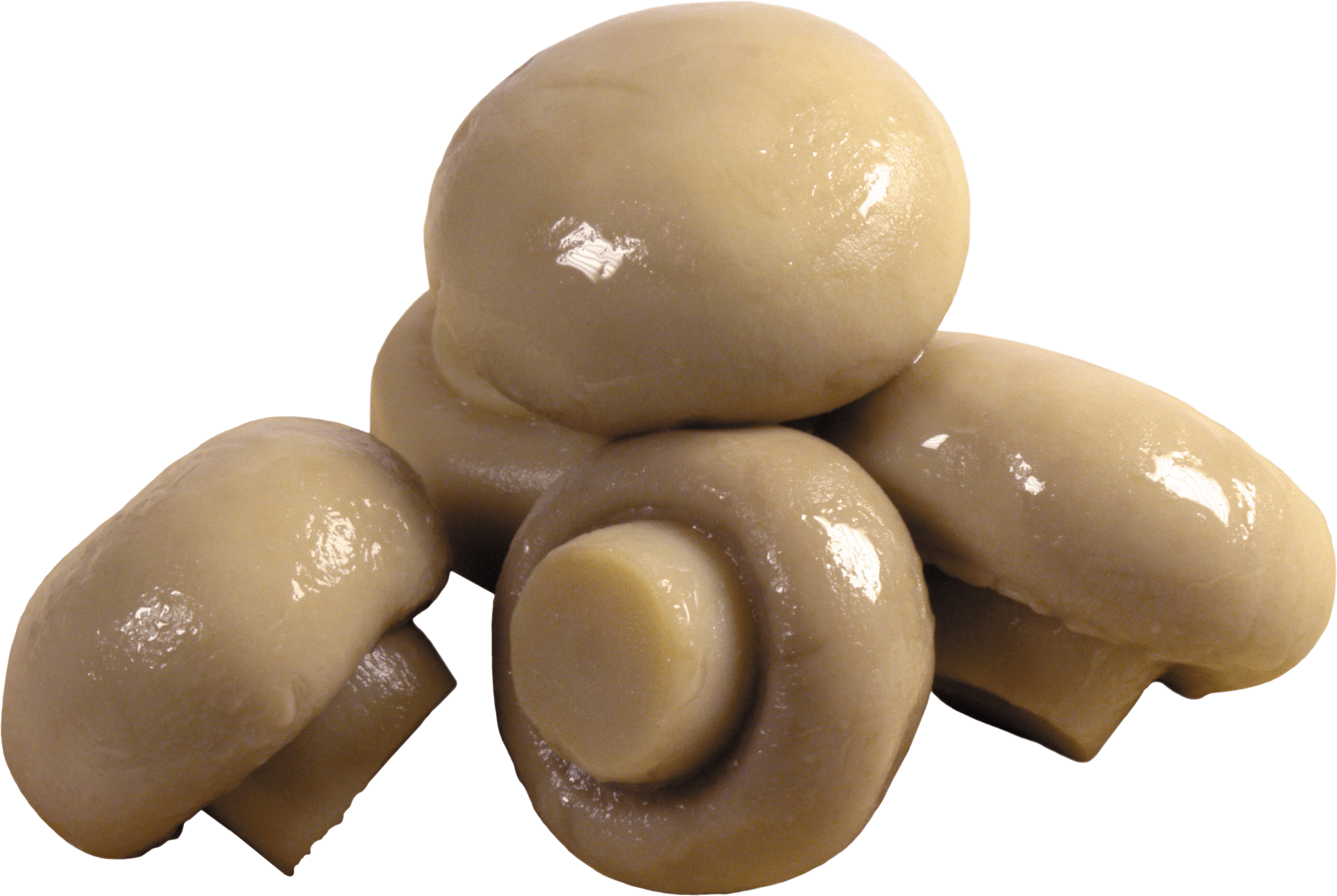 Mushroom Png Image Transparent PNG Image