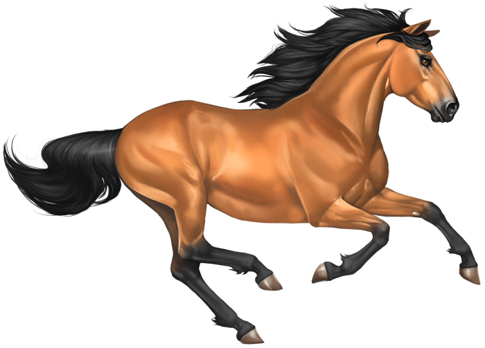 Mustang Horse Image Transparent PNG Image