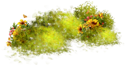 Nature Photos Transparent PNG Image