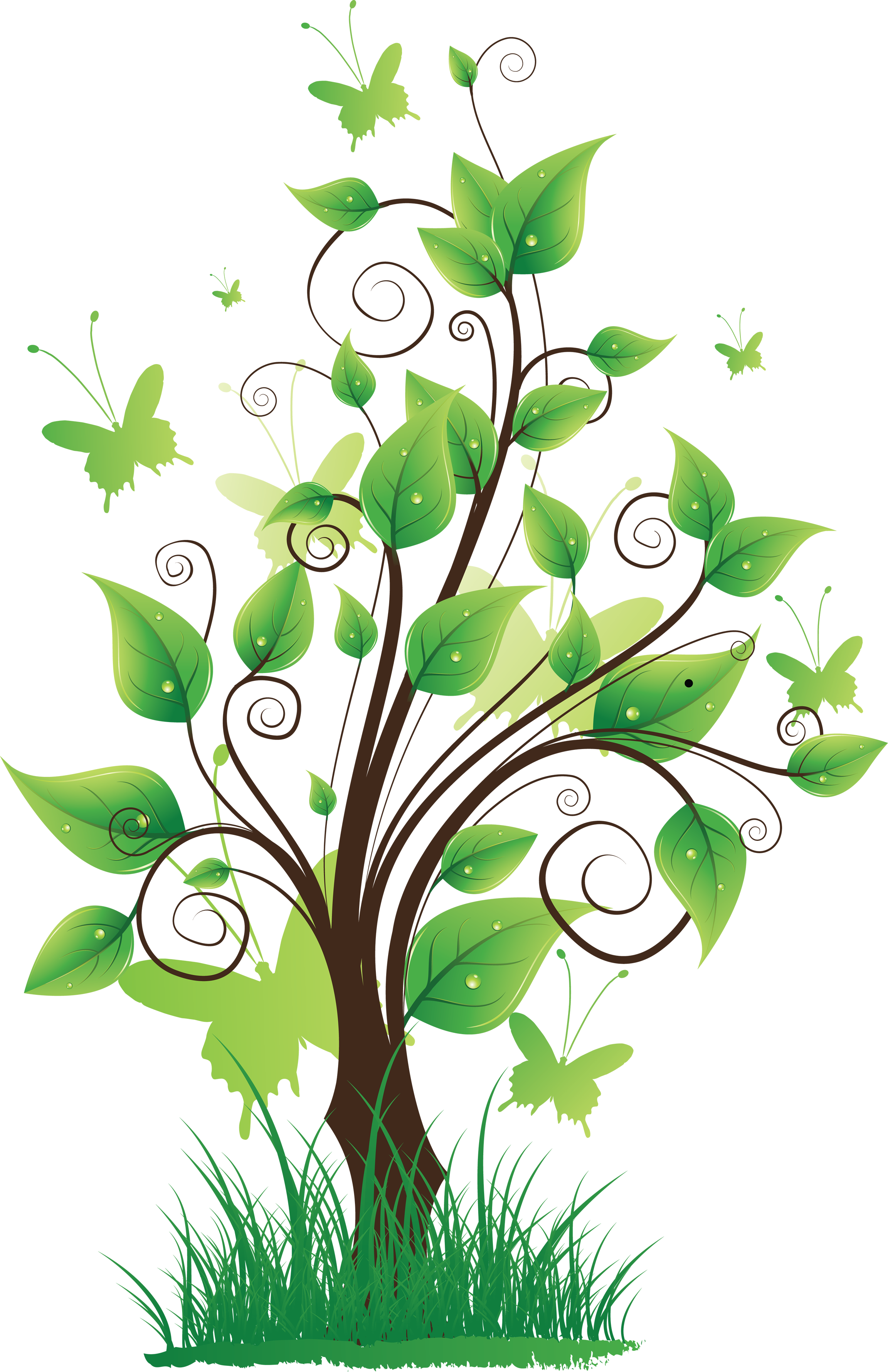 Nature Transparent Transparent PNG Image