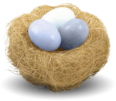 Nest Png Picture Transparent PNG Image