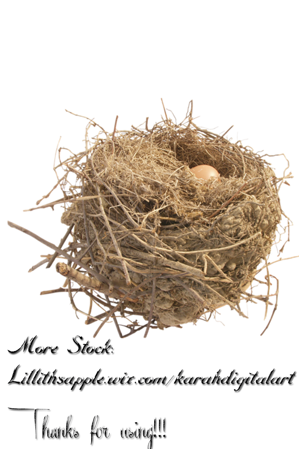 Nest Free Png Image Transparent PNG Image