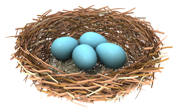 Blue Eggs Nest Bird Free Transparent Image HD Transparent PNG Image