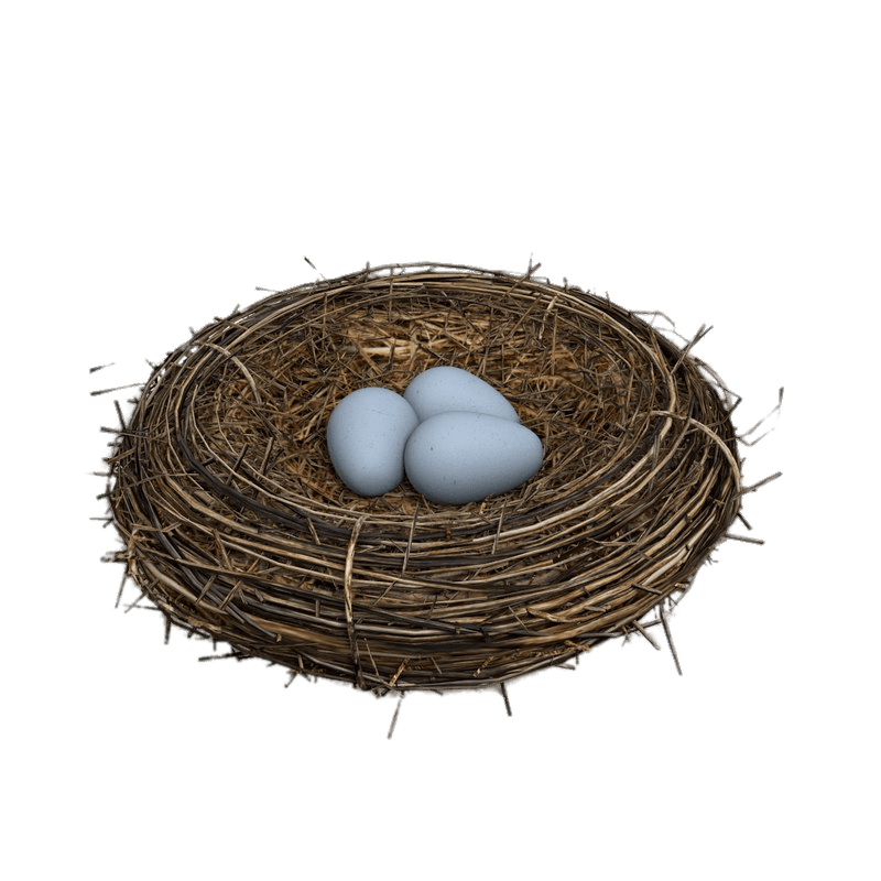 Eggs Nest Bird PNG Download Free Transparent PNG Image