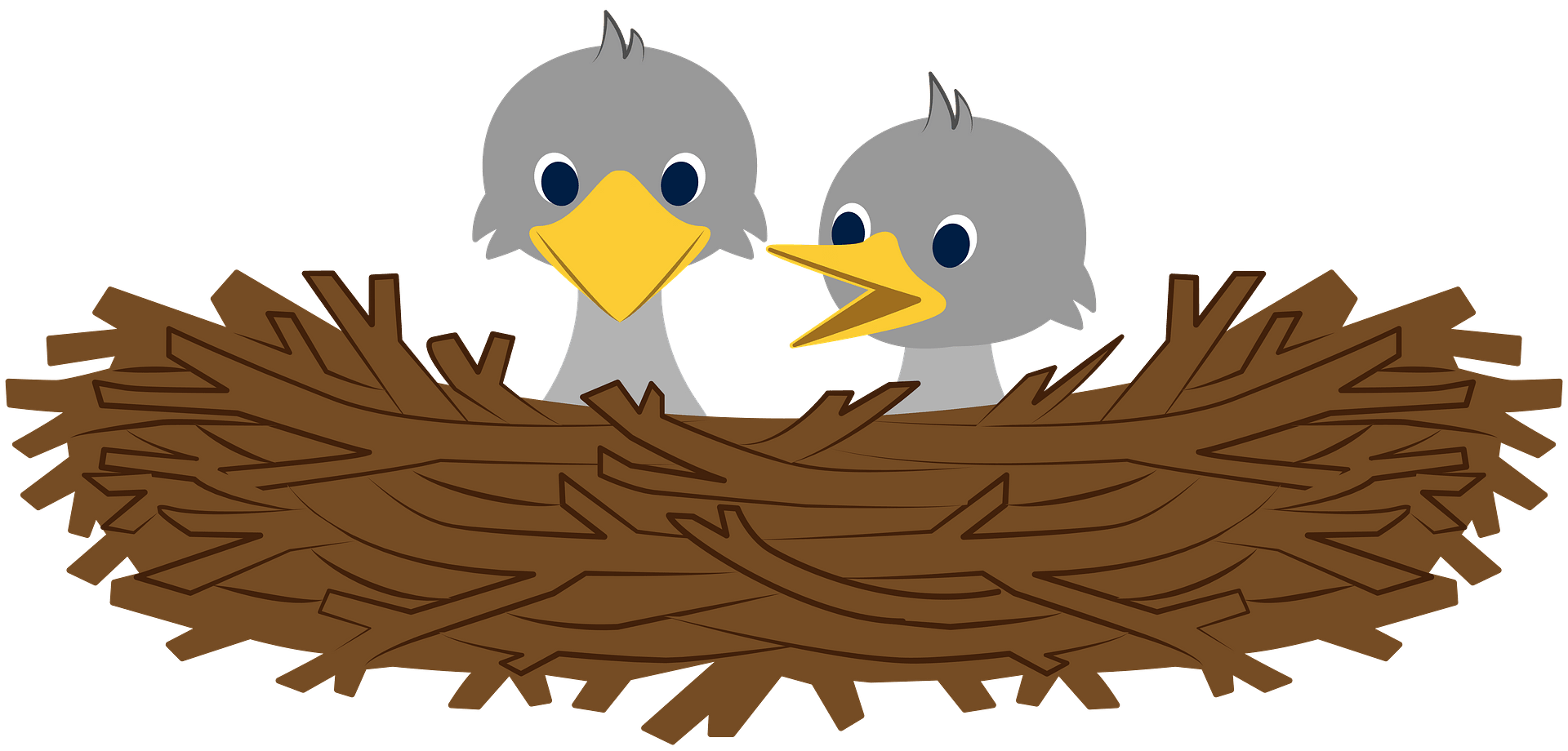 Nest Hatchlings Bird Free Download PNG HD Transparent PNG Image