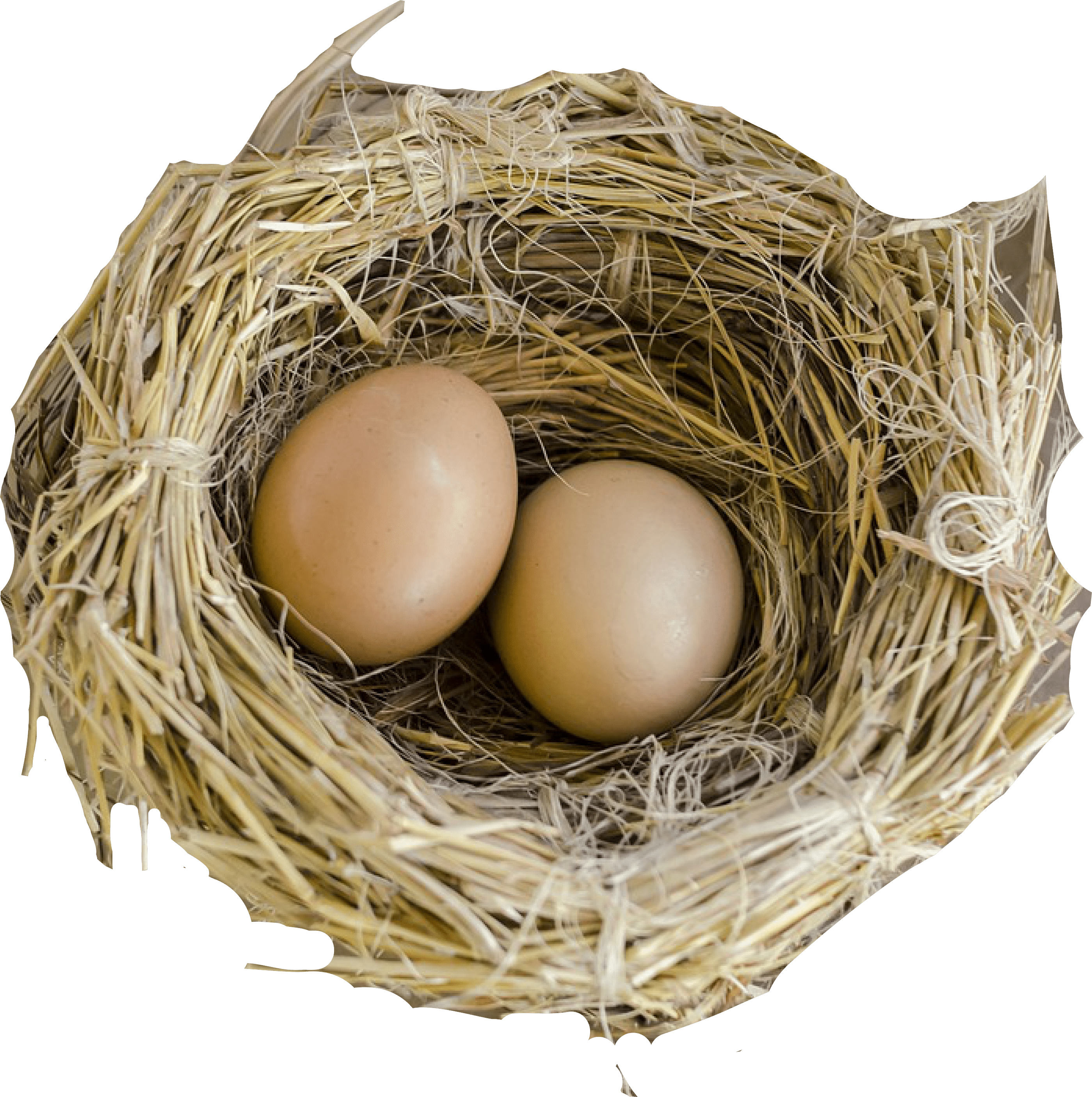 Nest Natural Bird Free Download PNG HQ Transparent PNG Image