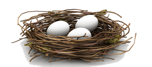 Eggs Nest White Bird Free Transparent Image HD Transparent PNG Image