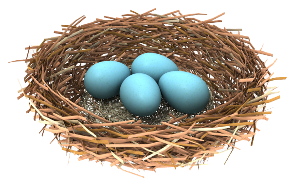 Nest Transparent Image Transparent PNG Image