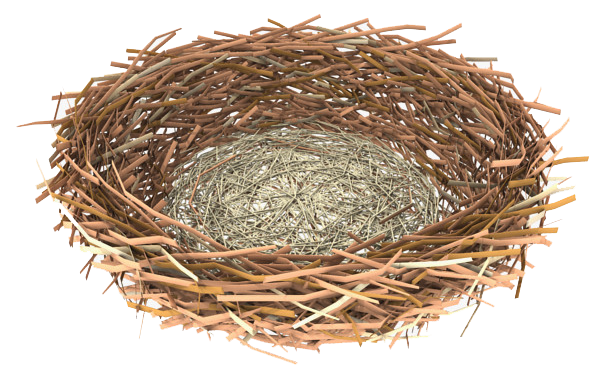 Nest Clipart Transparent PNG Image