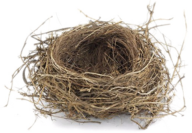 Nest Free Download Png Transparent PNG Image