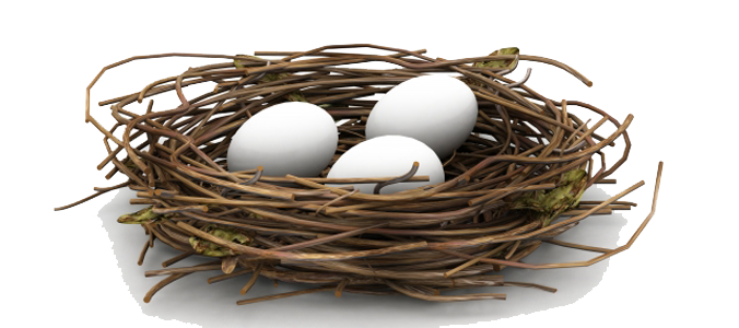 Nest Png Hd Transparent PNG Image