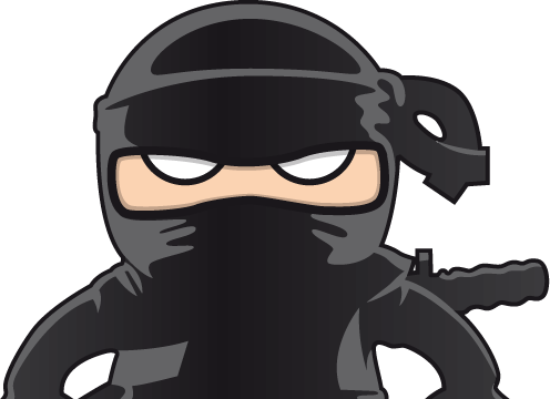 Ninja Png Picture Transparent PNG Image