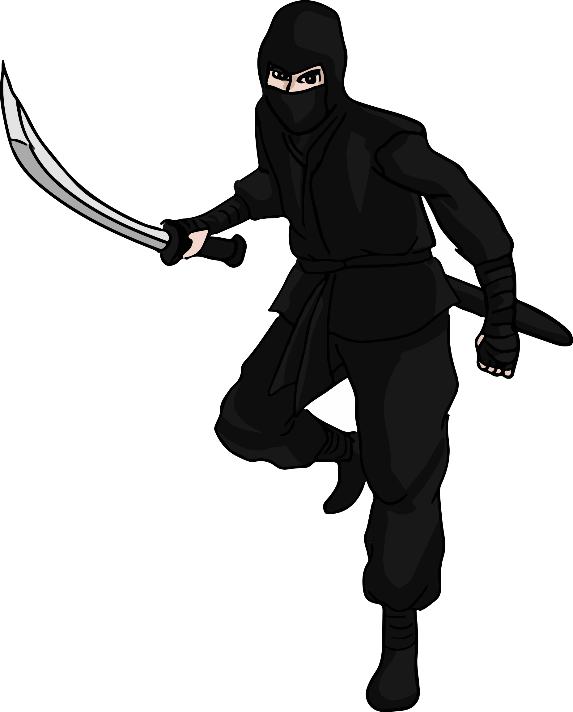 Ninja Png Pic Transparent PNG Image