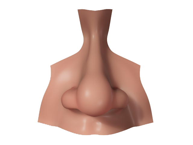 Nose Picture Transparent PNG Image