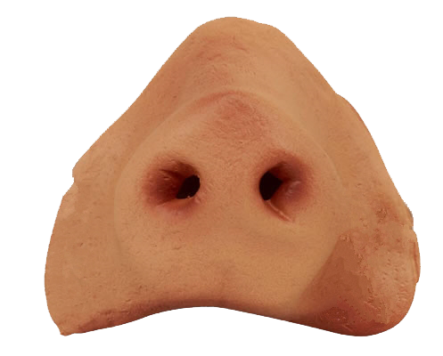 Nose Photo Transparent PNG Image