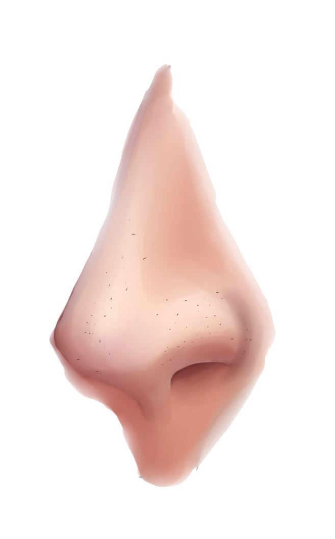 Nose Clipart Transparent PNG Image