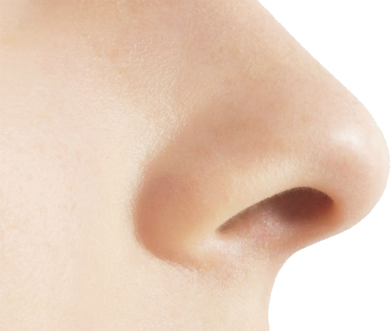 Nose Transparent PNG Image