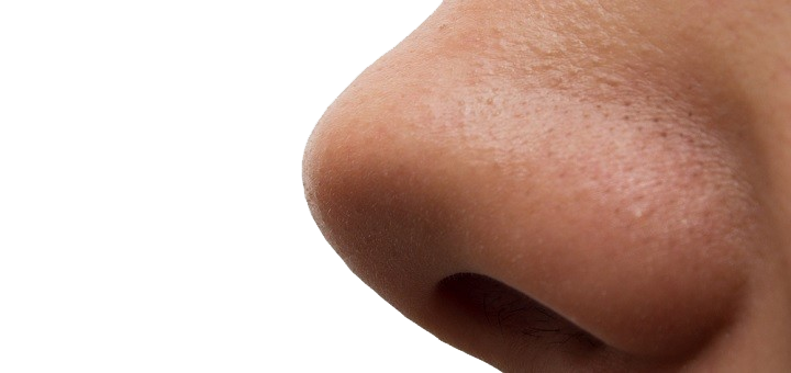 Nose Transparent Transparent PNG Image