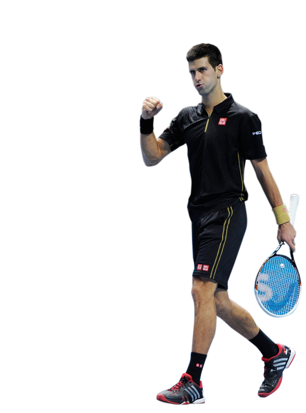 Novak Djokovic Picture Transparent PNG Image