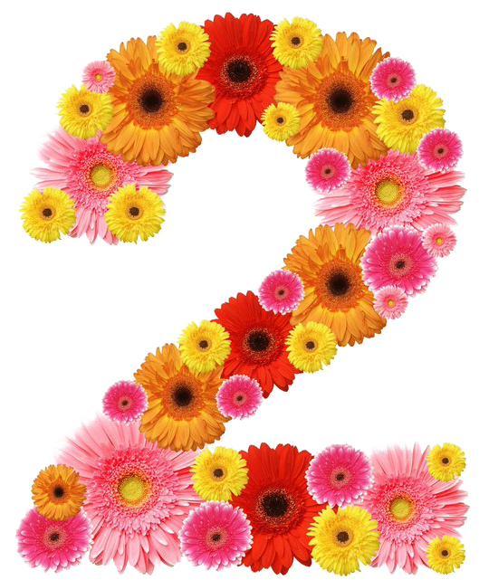 Floral Number PNG Download Free Transparent PNG Image