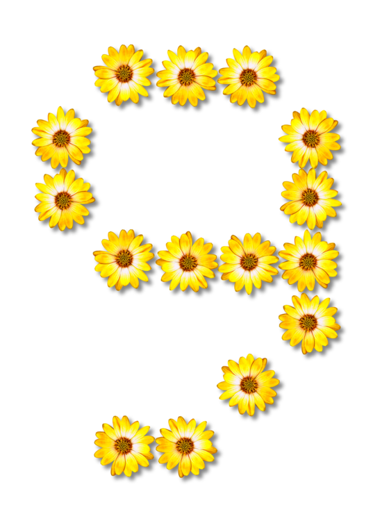 Floral Number Free Clipart HD Transparent PNG Image