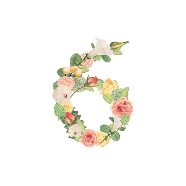 Floral Pic Number PNG Download Free Transparent PNG Image