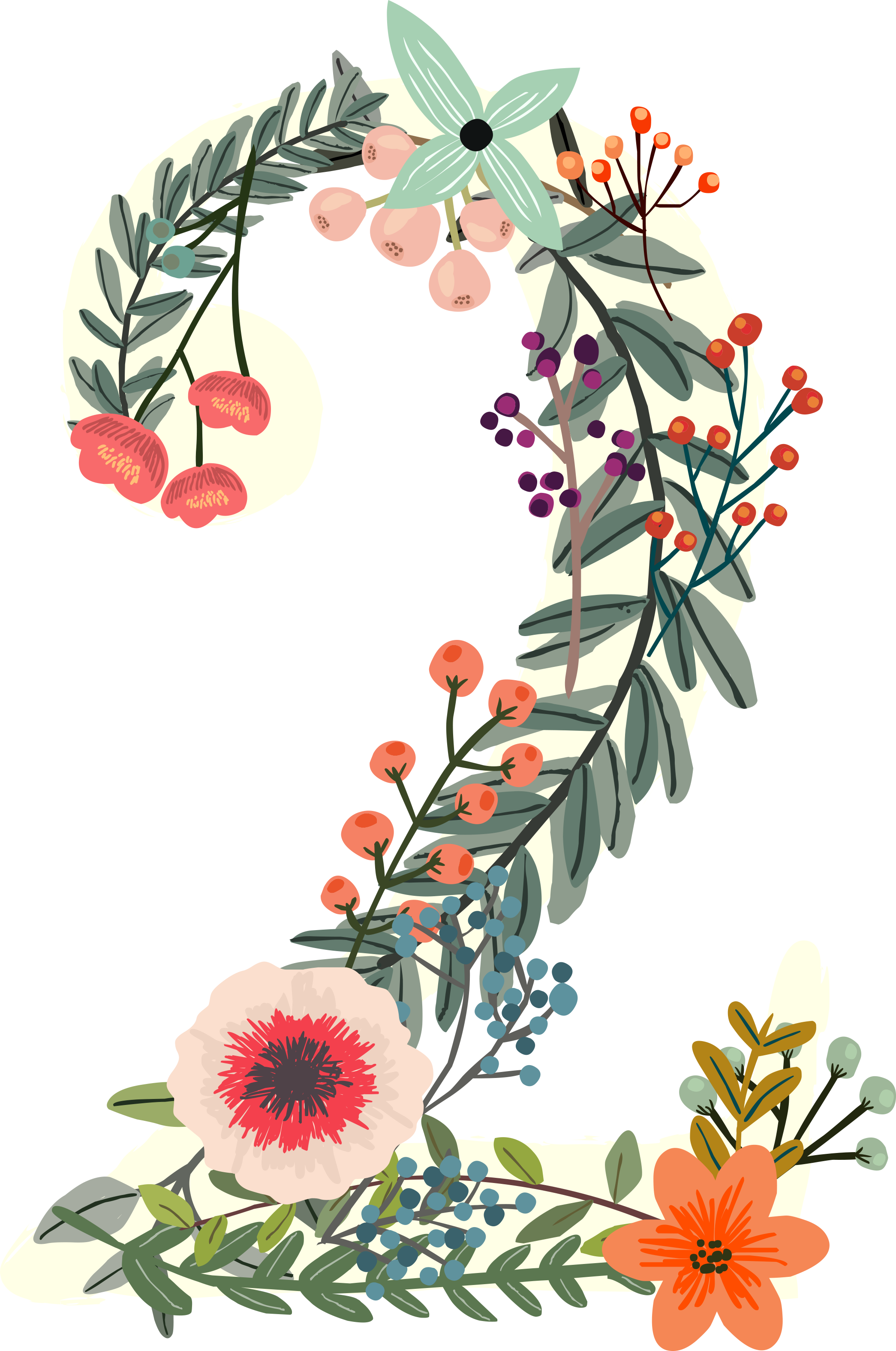 Floral Photos Number HD Image Free Transparent PNG Image