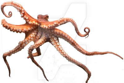 Octopus Png Picture Transparent PNG Image