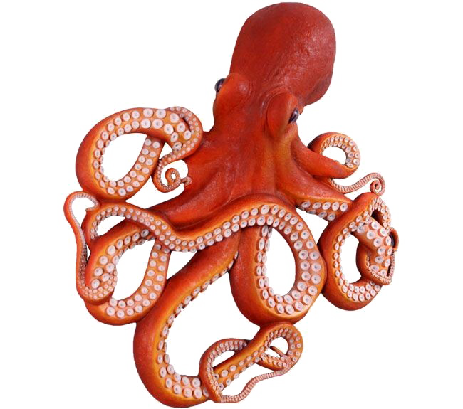 Octopus Free HD Image Transparent PNG Image