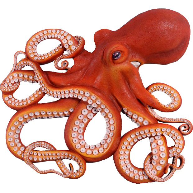 Octopus Free Download PNG HQ Transparent PNG Image